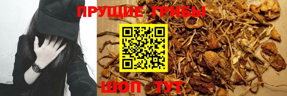 Советский  Псилоцибиновые грибы Magic Shrooms  Галлюциногенные грибы MAGIC MUSHROOMS  Вход с VPN 